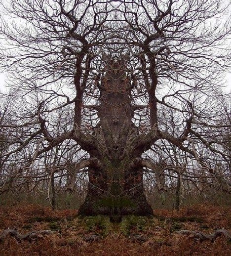 Treehouse of Horror!
