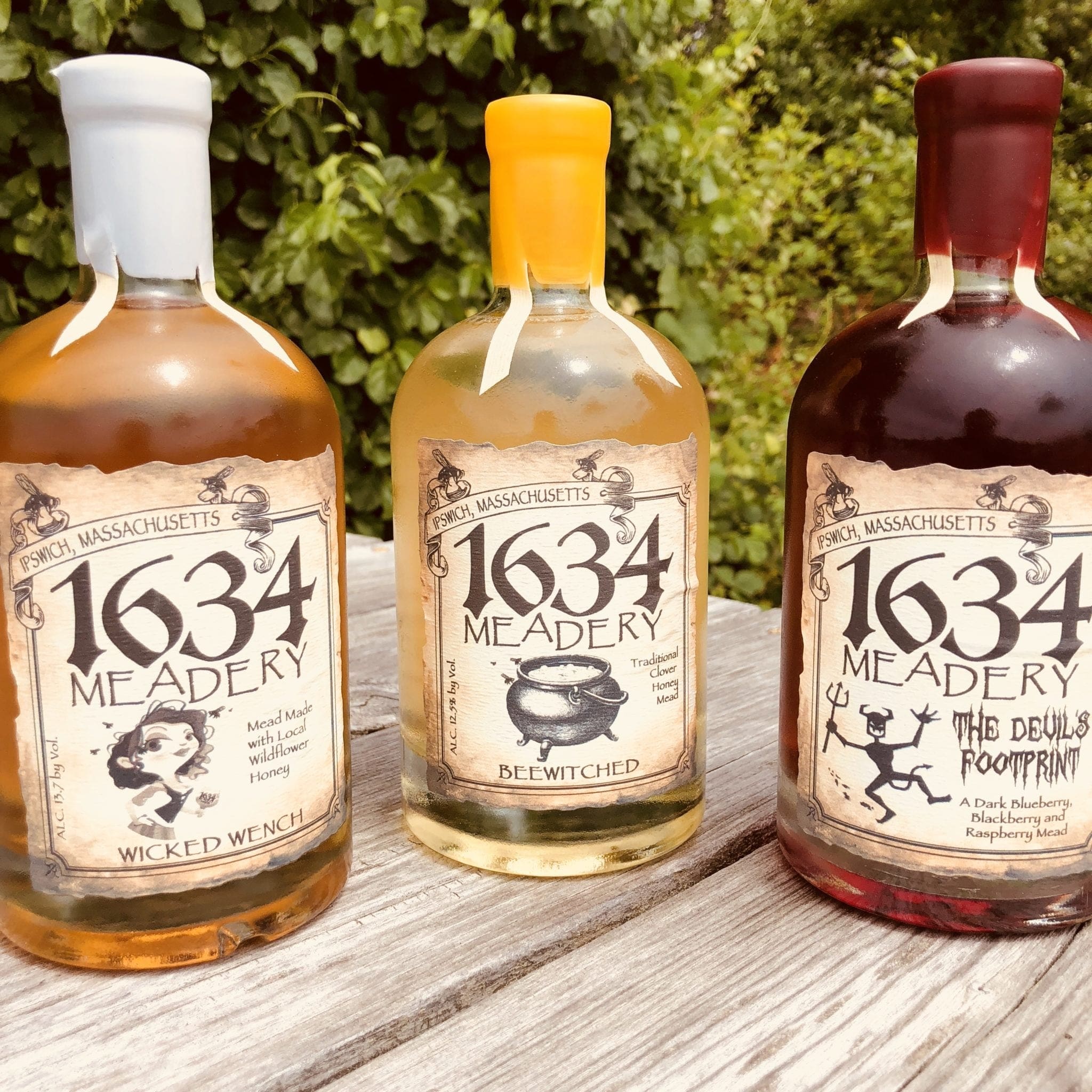 1634 Meadery Meads