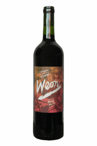 Vina Maitia Weon Carignan - 750ml